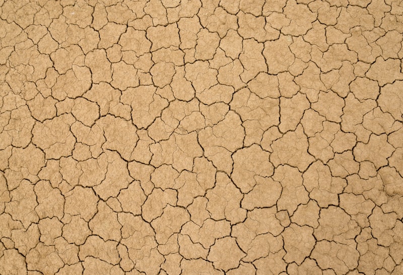 Clay soil texture and composition