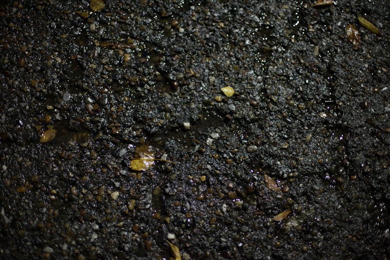 Peat soil texture and composition