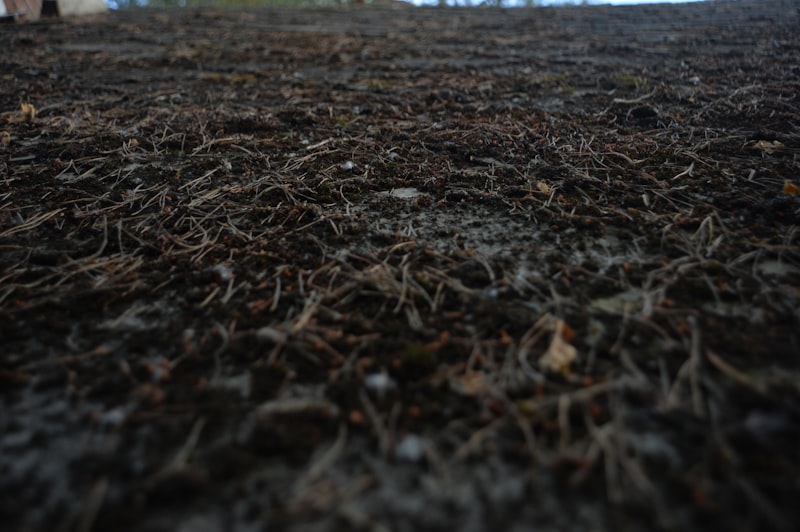 Sandy Loam soil texture and composition