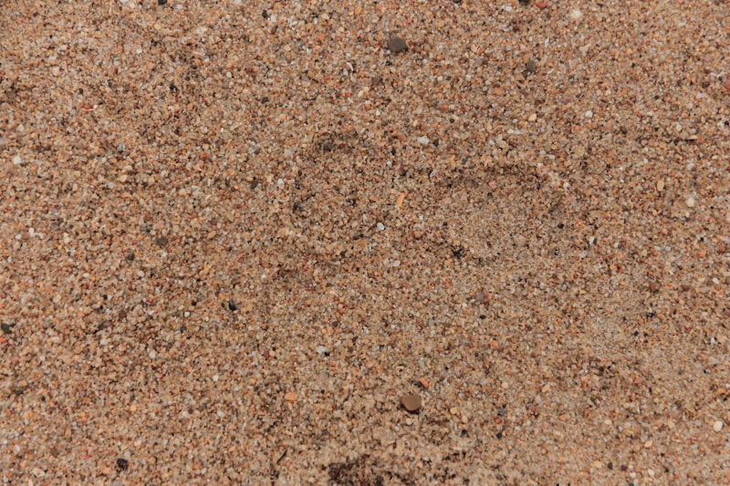 Sandy soil texture and composition