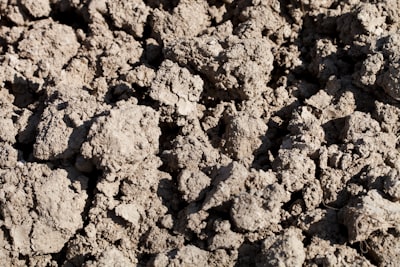 Clay Loam soil