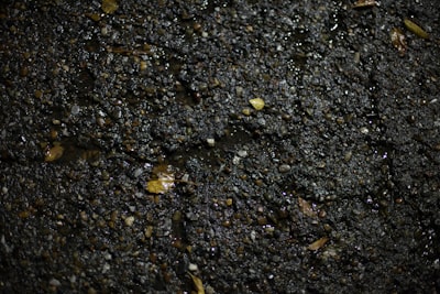Peat soil