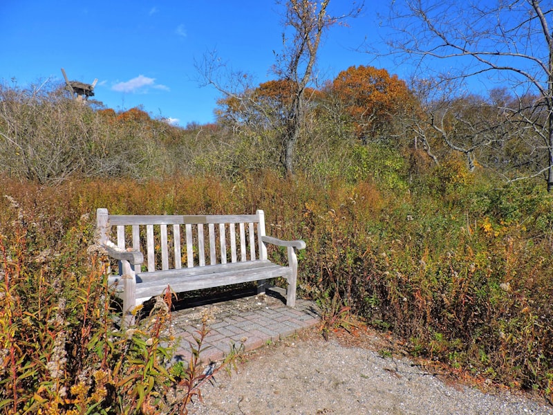 Connecticut landscape