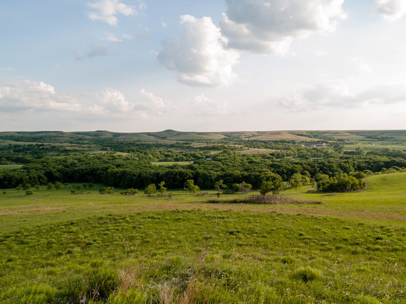 Kansas landscape