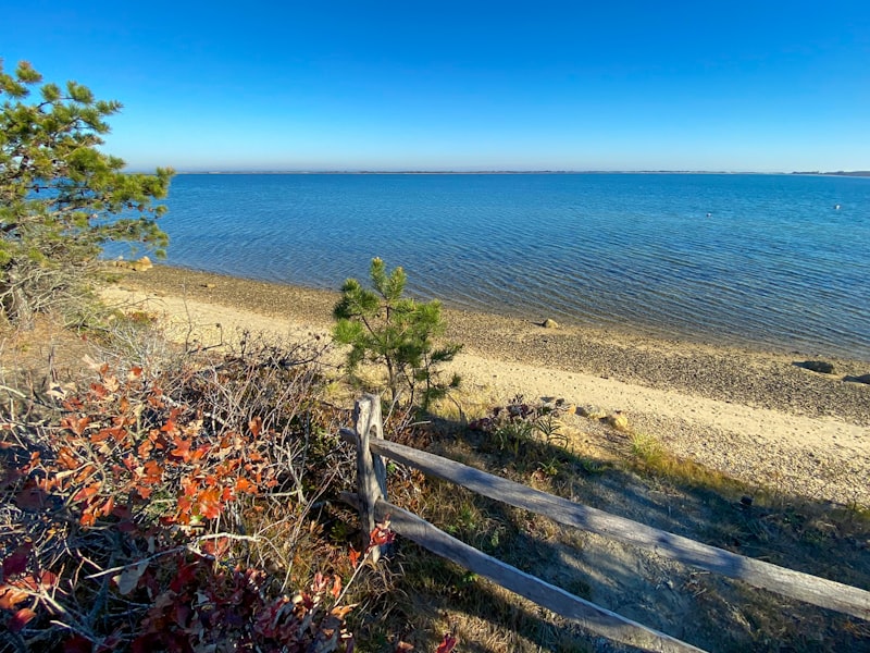 Massachusetts landscape