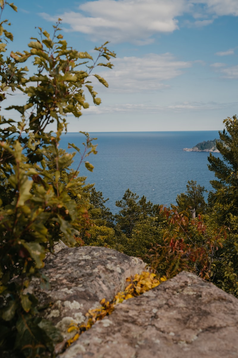 Michigan landscape
