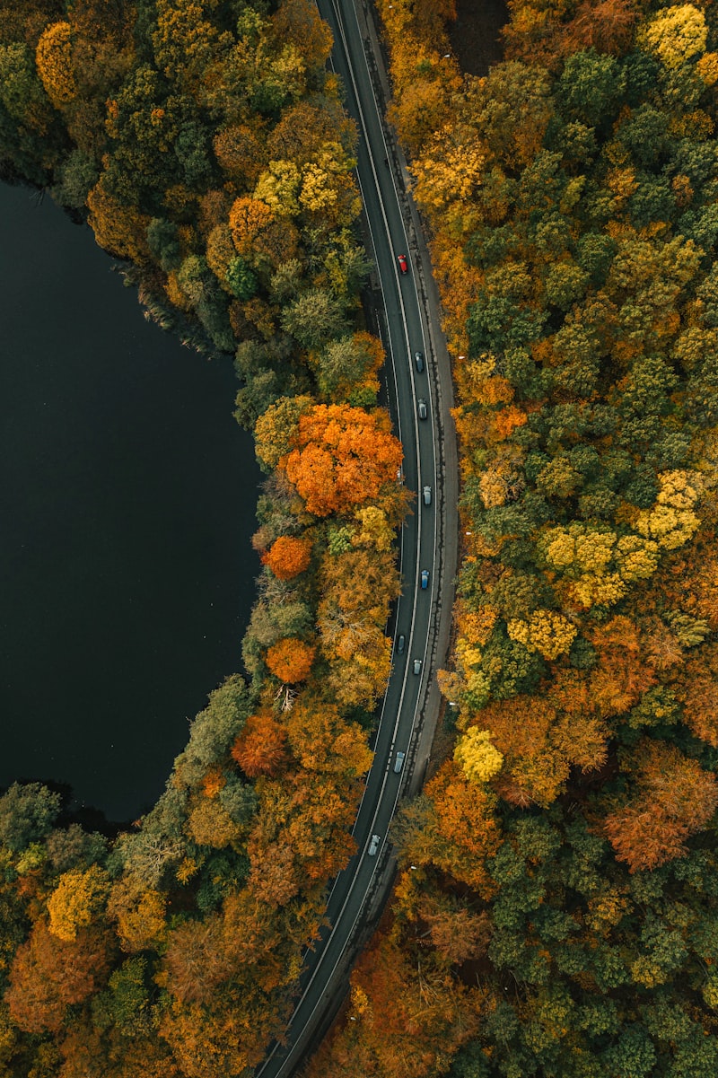 New Jersey landscape