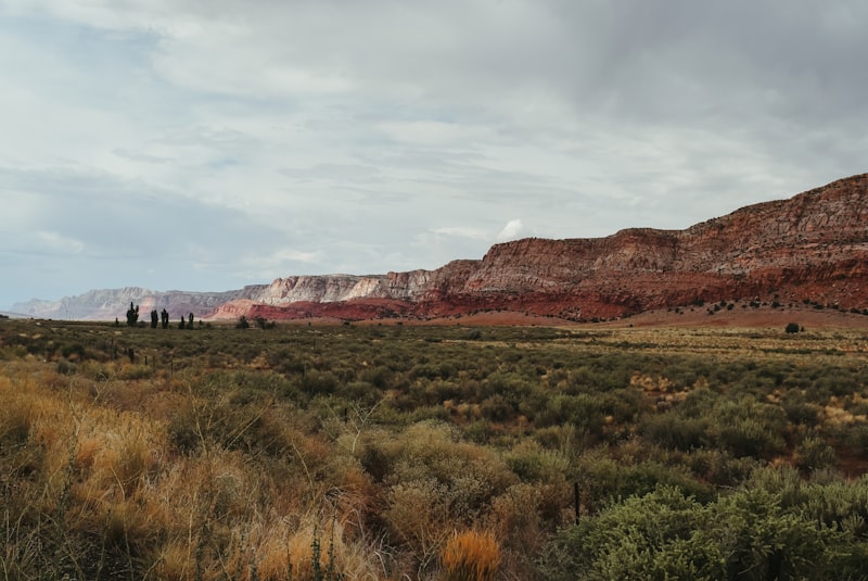 New Mexico landscape
