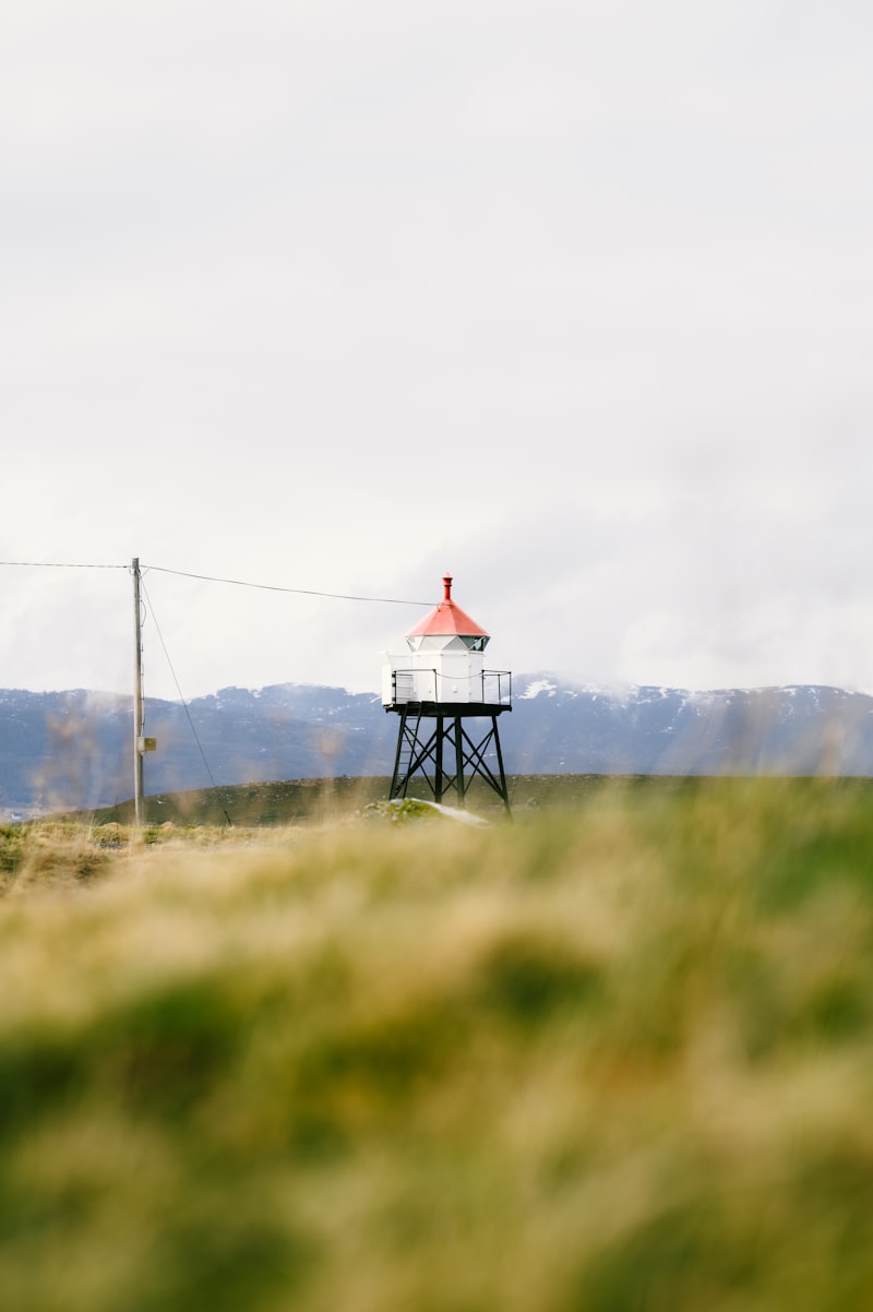 South Carolina landscape