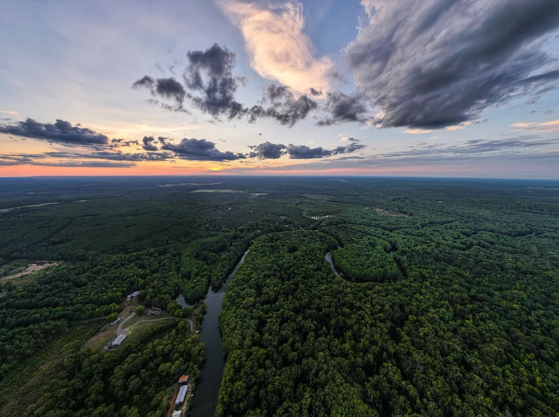 Texas landscape