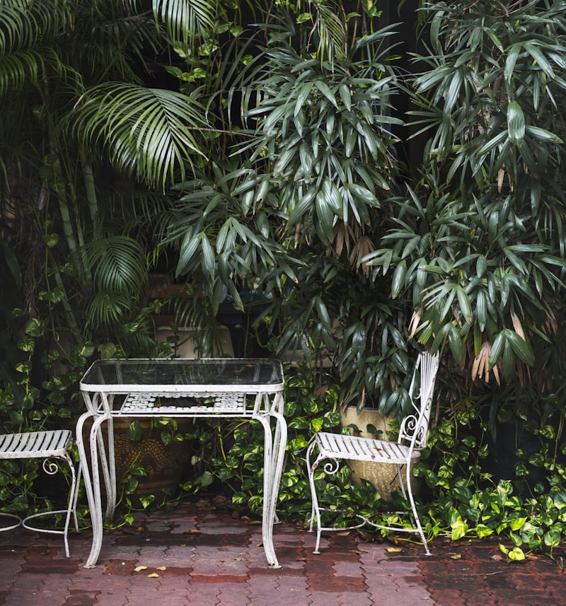 Landscape typical of USDA hardiness Zone 11a