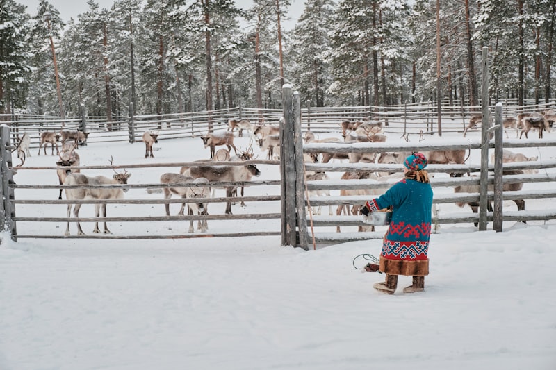 Landscape typical of USDA hardiness Zone 4a