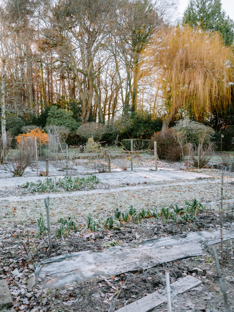 Landscape typical of USDA hardiness Zone 7a